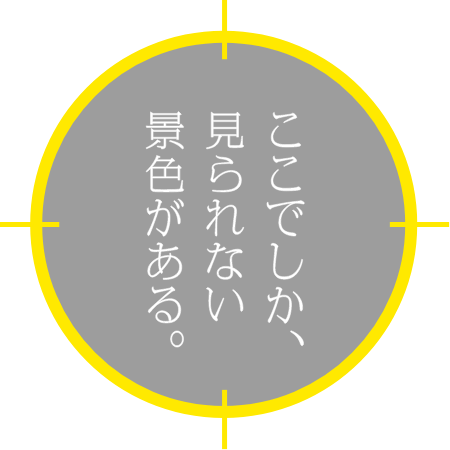 ここでしか見られない景色がある。